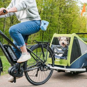 Croozer Dog XL Dog Trailer grasshopper green