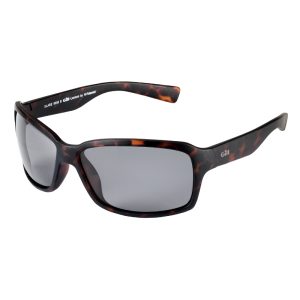 Glare Tortoise – Gill