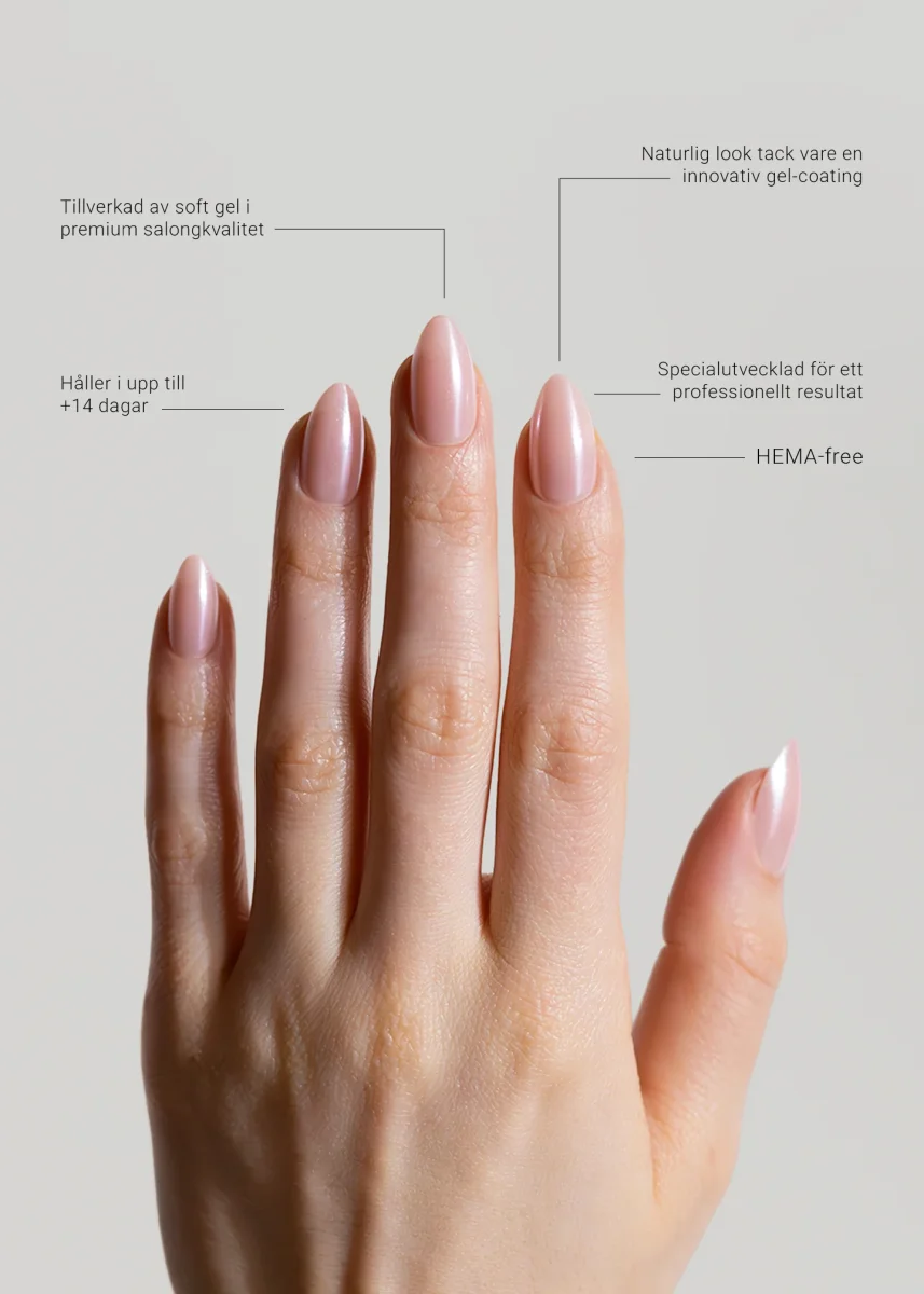 French Glazed - Bild 4